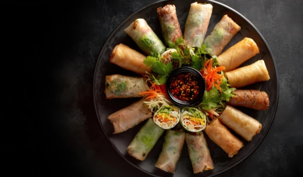 Home snap bite veg spring rolls
